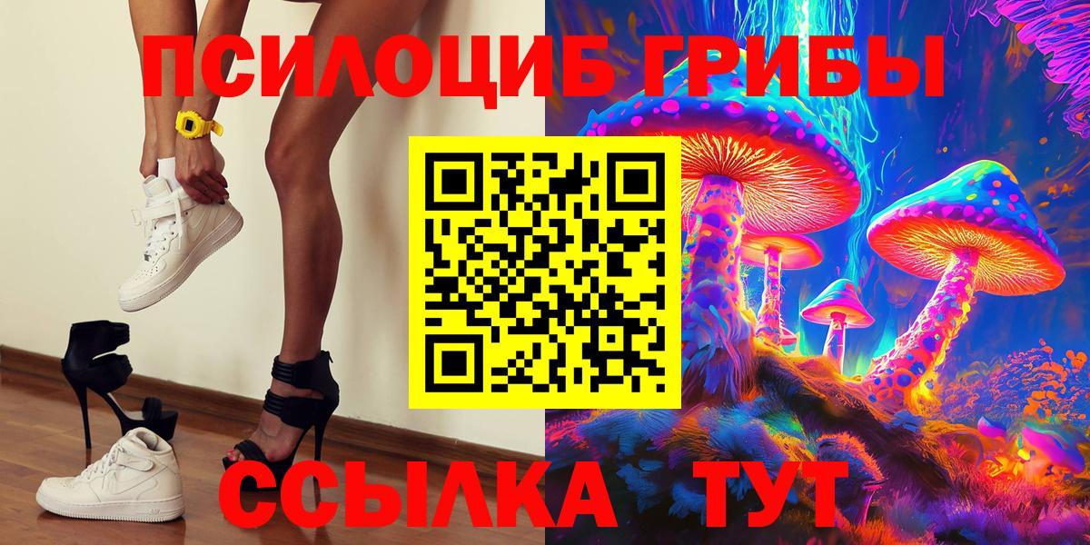 Донской  наркотики  Вход с VPN  Псилоцибиновые грибы прущие грибы 