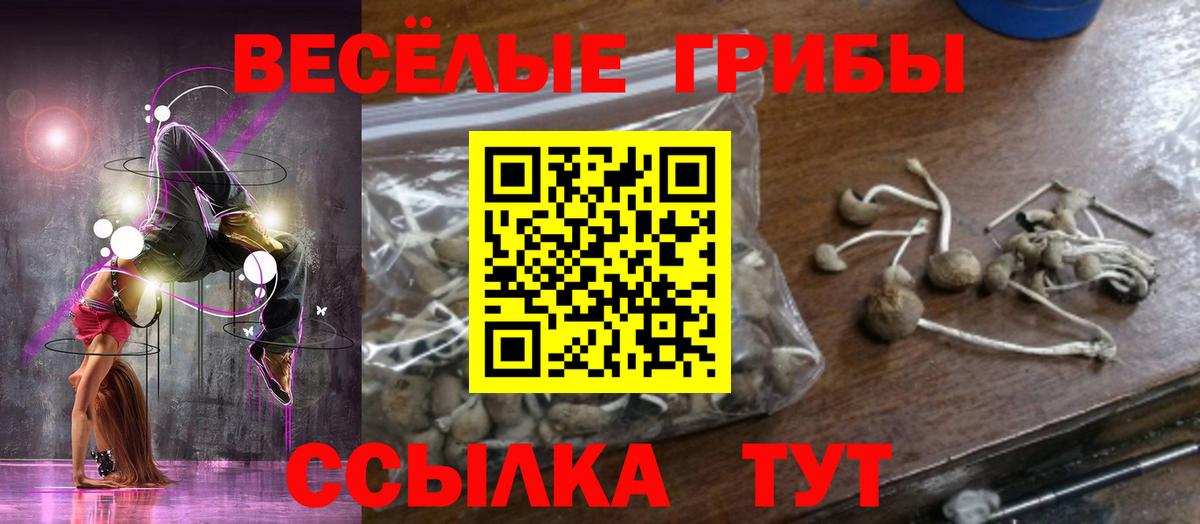 Псилоцибиновые грибы мицелий Донской